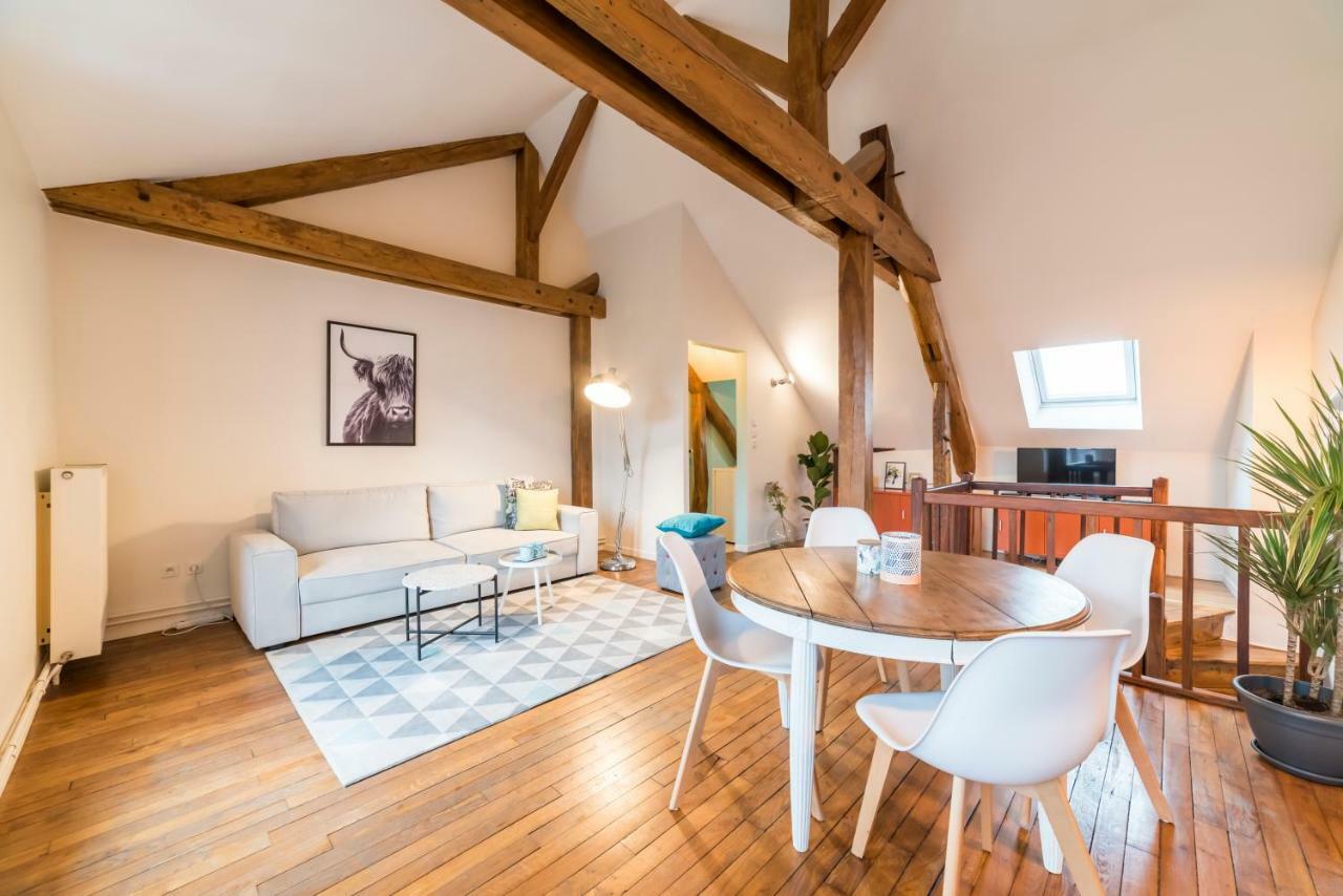 Newcenter Duplex Apartment Auxerre Exterior foto